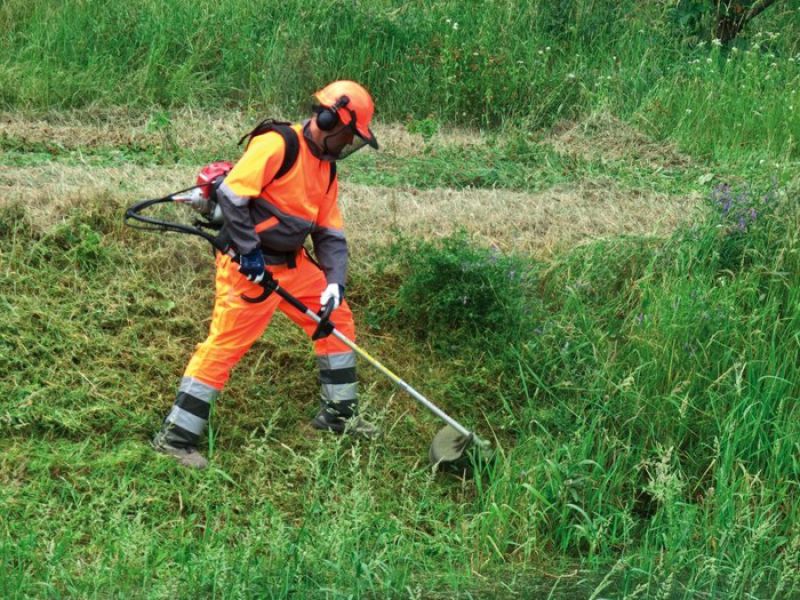 Resultado de imagem para operador de roÃ§adeira