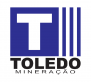 TOLEDO MINERAÇÃO